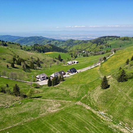 View House, Schauinsland, Black Forest 뮌스테르탈 외부 사진